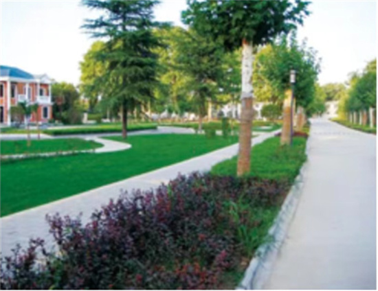 小区园林绿化