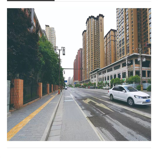 大兴道路与绿化