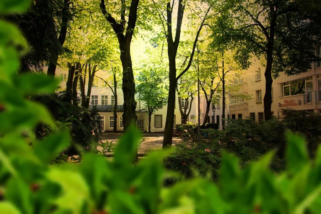 我国园林绿化工程施工过程中存在的10大问题